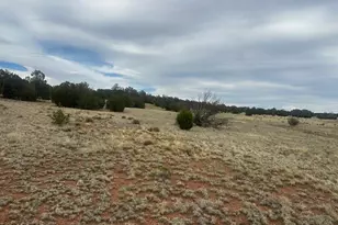 Lot 382Sw Gable Rd, Seligman, AZ 86337 - Photo 1