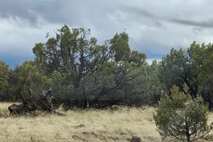 2339 N Phillip Ln, Williams, AZ 86046 - Photo 1