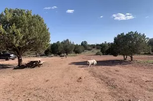 61333 N Rough Rock Rd, Seligman, AZ 86337 - Photo 24