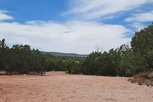 61333 N Rough Rock Rd, Seligman, AZ 86337 - Photo 28