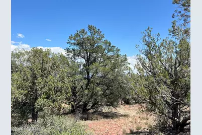 61 Colt Ct Ne4 Road, Ash Fork, AZ 86320 - Photo 4