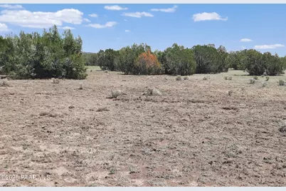 Lot 1389 Anvil Rock Rd, Seligman, AZ 86337 - Photo 4