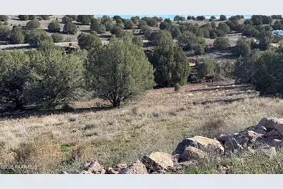 00 N Gray Gos Road, Chino Valley, AZ 86323 - Photo 2