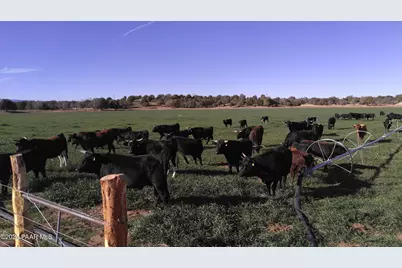 10825 W Strickland Wash Road, Prescott, AZ 86305 - Photo 46