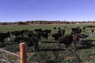 10825 W Strickland Wash Rd, Prescott, AZ 86305 - Photo 46