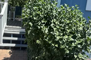 7901 E State Rte 69, Prescott Valley, AZ 86314 - Photo 2