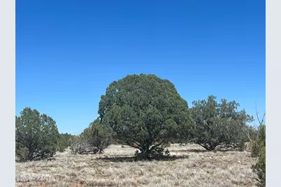 10 S2 Off Of Looking Glass, Ash Fork, AZ 86320 - Photo 4