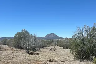 10 S2 Off Of Looking Glass, Ash Fork, AZ 86320 - Photo 1