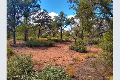 15777 N Lucy Lane, Prescott, AZ 86305 - Photo 10
