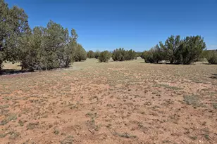 42650 N Wayne Rd, Ash Fork, AZ 86320 - Photo 8