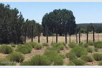 0 Parcel # 301-31-064A & B, Seligman, AZ 86337 - Photo 18