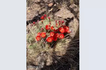 0 Parcel # 301-31-064A & B, Seligman, AZ 86337 - Photo 22