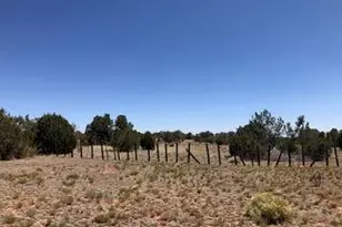 0 Parcel # 301-31-064A & B, Seligman, AZ 86337 - Photo 1