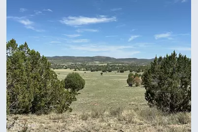 124 Dry Gulch, Seligman, AZ 86337 - Photo 4