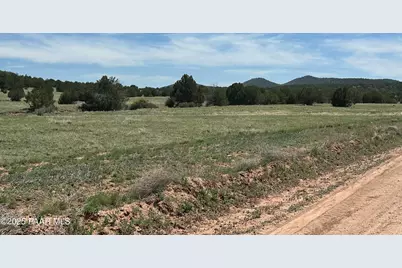 124 Dry Gulch, Seligman, AZ 86337 - Photo 12