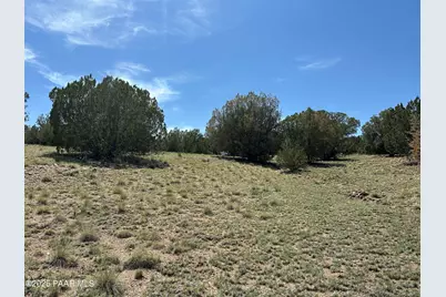 124 Dry Gulch, Seligman, AZ 86337 - Photo 6