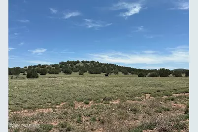 124 Dry Gulch, Seligman, AZ 86337 - Photo 14