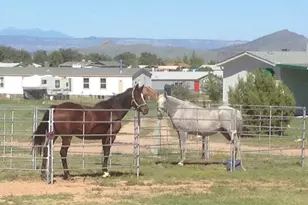2510 N Chippewa Rd, Chino Valley, AZ 86323 - Photo 44