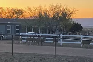 2510 N Chippewa Rd, Chino Valley, AZ 86323 - Photo 46