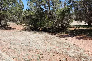 Lot 13 Ranch and Cattle, Ash Fork, AZ 86320 - Photo 28