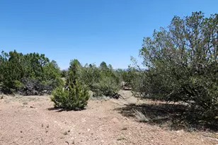 Lot 13 Ranch and Cattle, Ash Fork, AZ 86320 - Photo 16