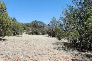Lot 13 Ranch and Cattle, Ash Fork, AZ 86320 - Photo 26