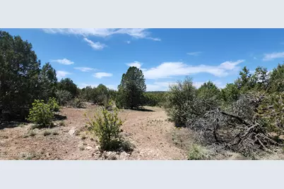 Lot 13 Ranch and Cattle, Ash Fork, AZ 86320 - Photo 12