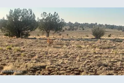 349Nw Rocky Top Road, Seligman, AZ 86337 - Photo 10