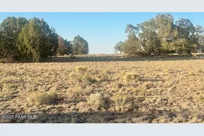349Nw Rocky Top Road, Seligman, AZ 86337 - Photo 8