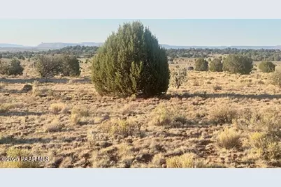 349Ne Rocky Top Road, Seligman, AZ 86337 - Photo 1