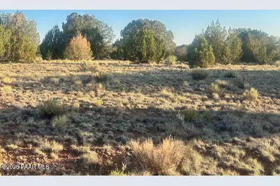 349Ne Rocky Top Road, Seligman, AZ 86337 - Photo 10