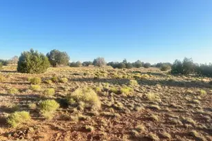 349Sw Rocky Top Rd, Seligman, AZ 86337 - Photo 1