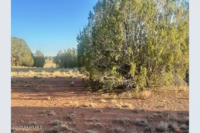 349Sw Rocky Top Road, Seligman, AZ 86337 - Photo 8