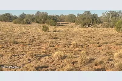 349Se Rocky Top Road, Seligman, AZ 86337 - Photo 6