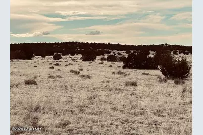 424Nw Deliverance Road, Seligman, AZ 86337 - Photo 2