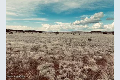 424Nw Deliverance Road, Seligman, AZ 86337 - Photo 4