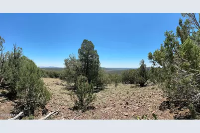 1148 Floyd Ranch, Seligman, AZ 86337 - Photo 12