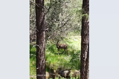 219 Midway, Prescott, AZ 86305 - Photo 24