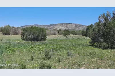 Lot 1316 Anvil Rock Rd, Seligman, AZ 86337 - Photo 1
