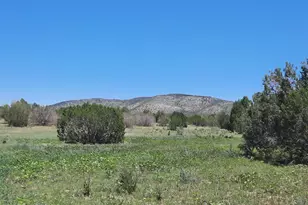 Lot 1316 Anvil Rock Rd, Seligman, AZ 86337 - Photo 1