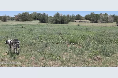 Lot 1316 Anvil Rock Rd, Seligman, AZ 86337 - Photo 4