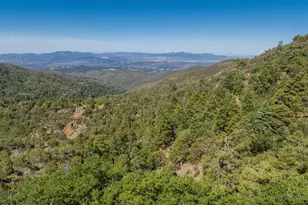 0 Forest 667 Rd, Prescott, AZ 86303 - Photo 1