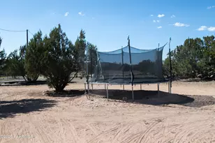 27585 El Oro Dr, Seligman, AZ 86337 - Photo 46
