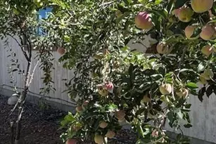 12921 E Central Ave, Mayer, AZ 86333 - Photo 36