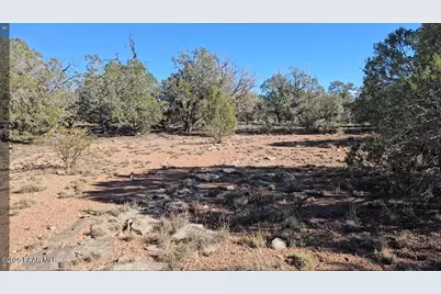 54593 Thunderbird Lane, Seligman, AZ 86337 - Photo 2