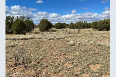 0 Honey Bee Lane, Seligman, AZ 86337 - Photo 6