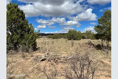0 Honey Bee Lane, Seligman, AZ 86337 - Photo 12