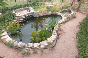 11800 W Faded Whistle Rd, Skull Valley, AZ 86338 - Photo 4