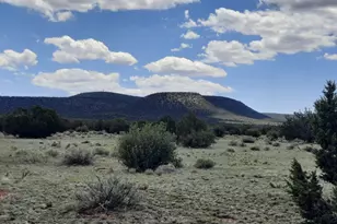 47683 N Deadwood Dr, Seligman, AZ 86337 - Photo 26