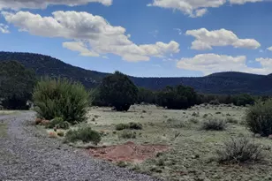 47683 N Deadwood Dr, Seligman, AZ 86337 - Photo 24